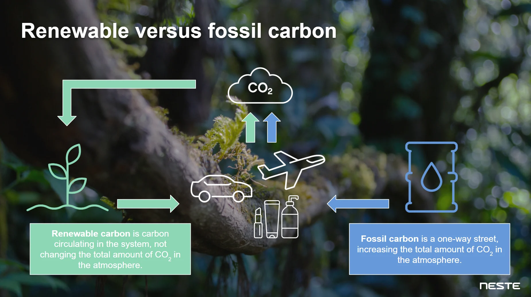 Renewable and fossil carbon