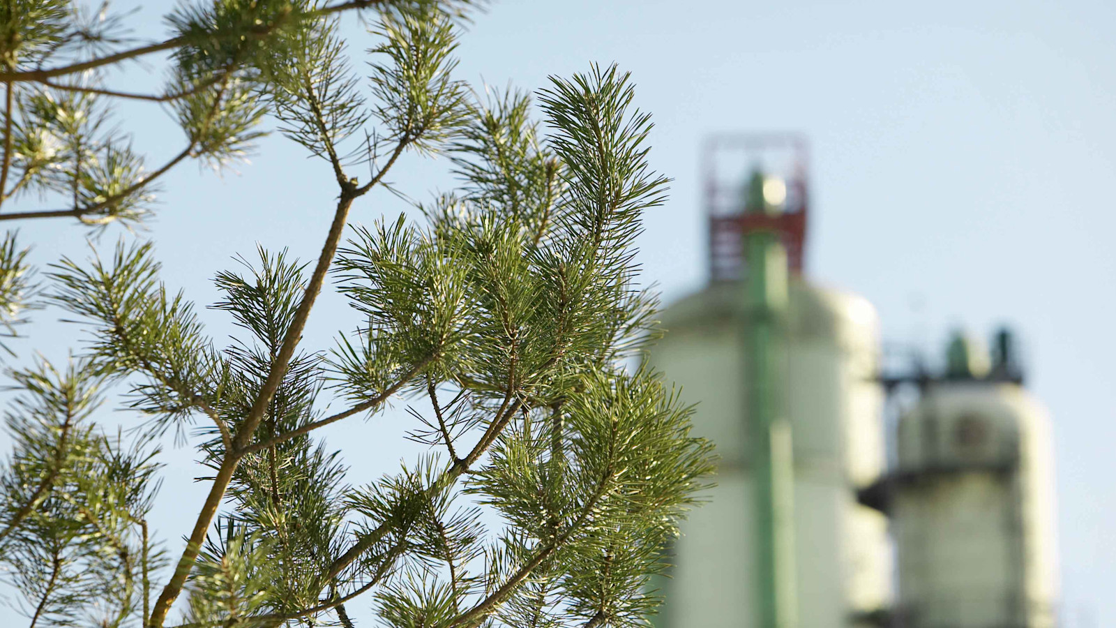 Neste plant Umwandlung der Raffinerie Porvoo in Zentrum für erneuerbare Lösungen