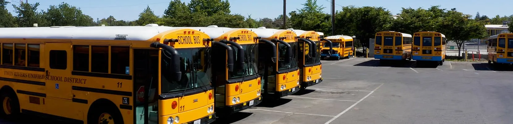 Yellow school busses in a row