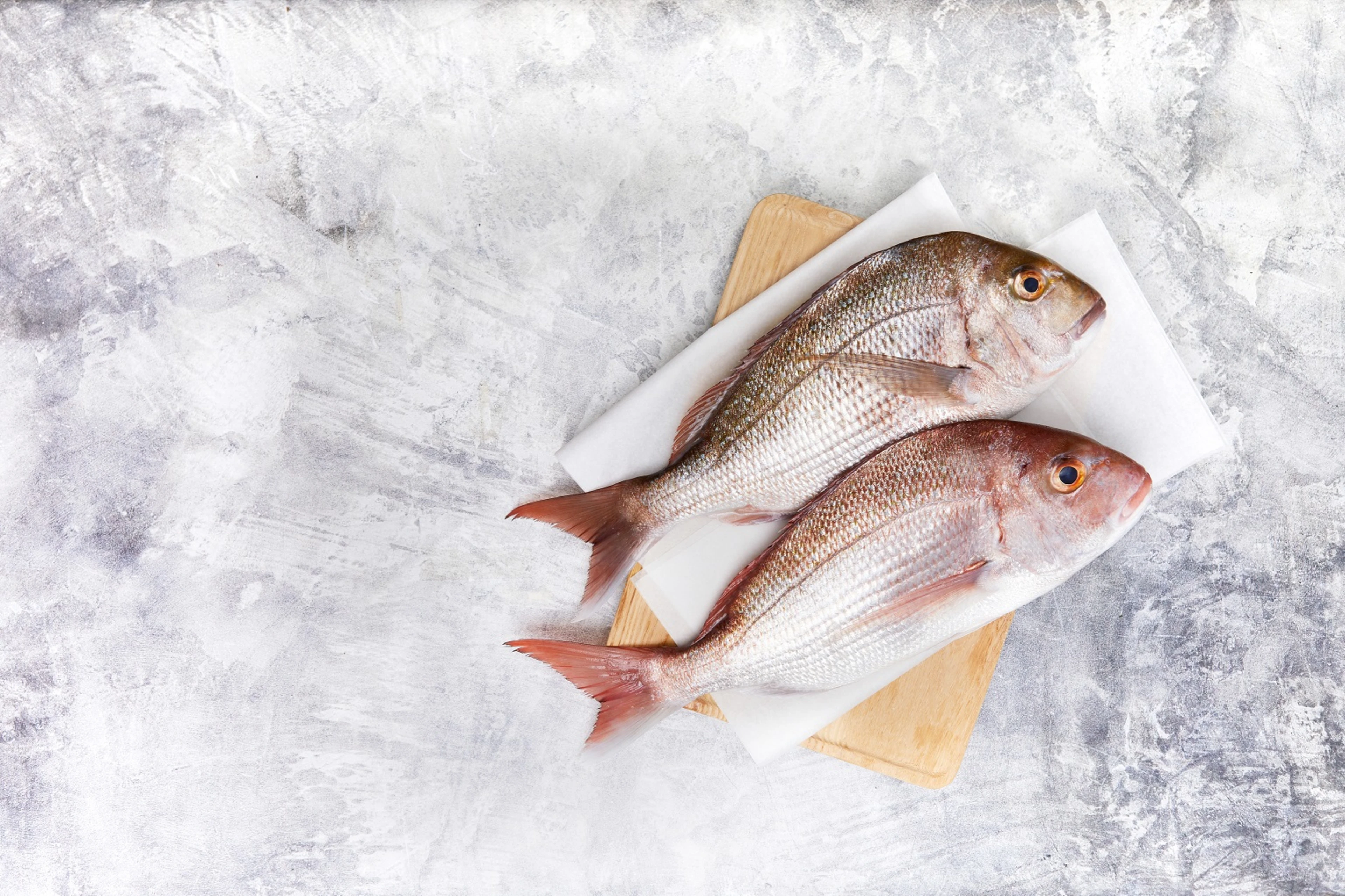 Fresh snapper fish on shopping board and grey background