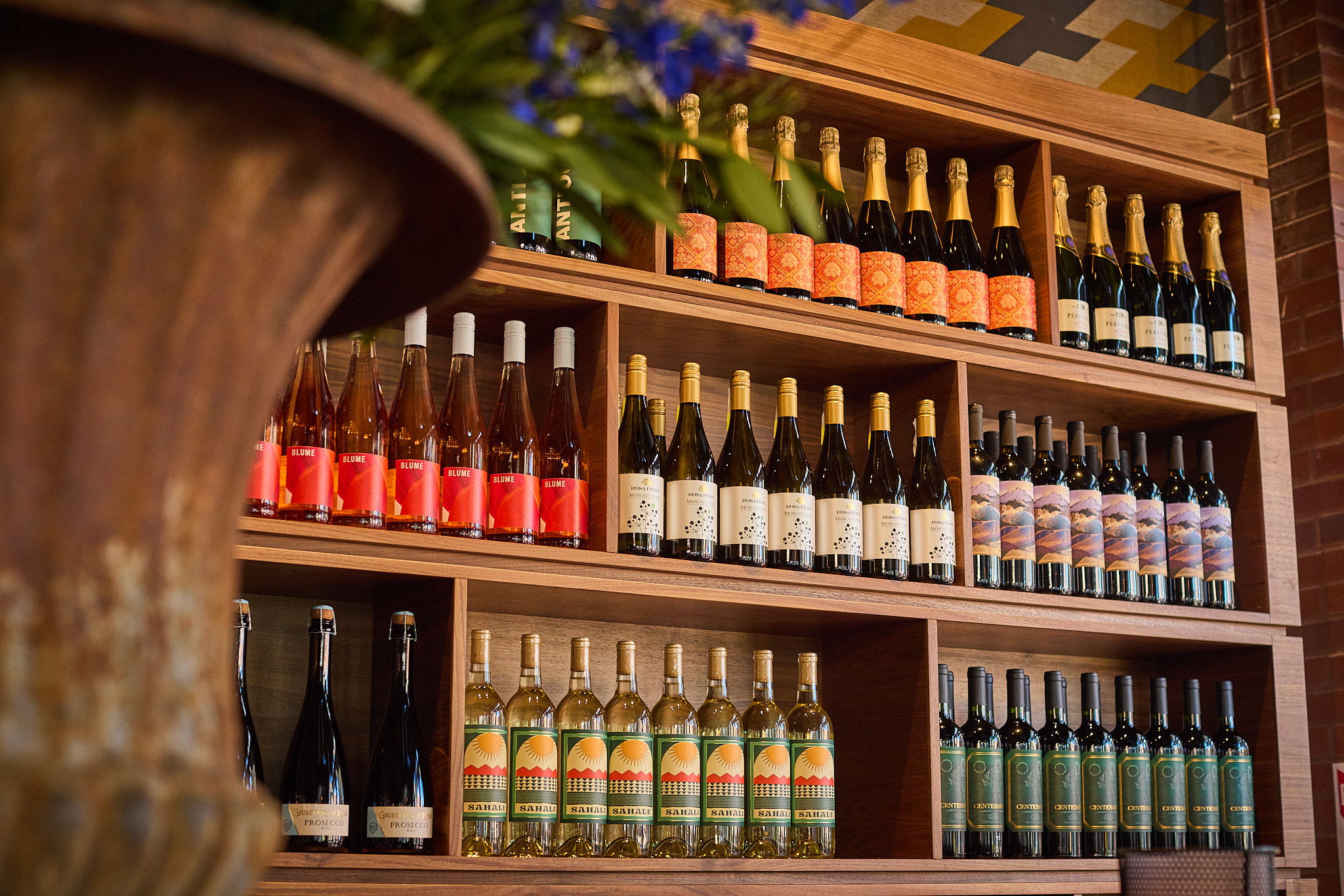 Wildswans　postino 3K8A3028.jpg