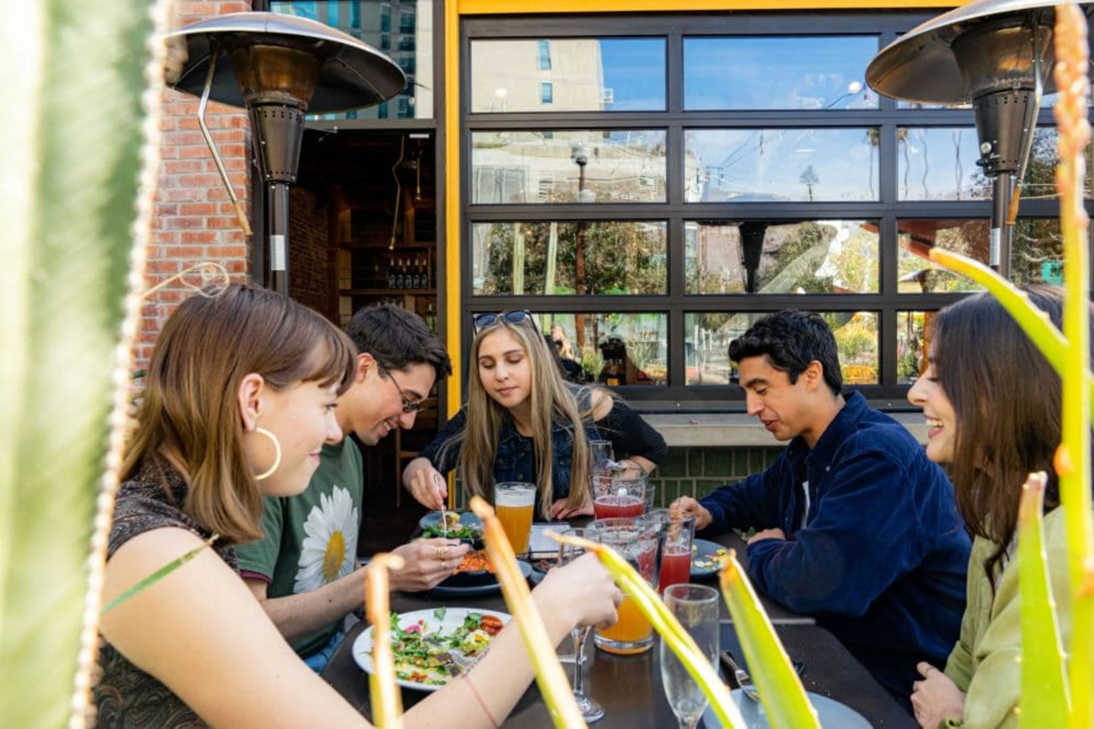 Table of people eating and drinking near aloe plants.