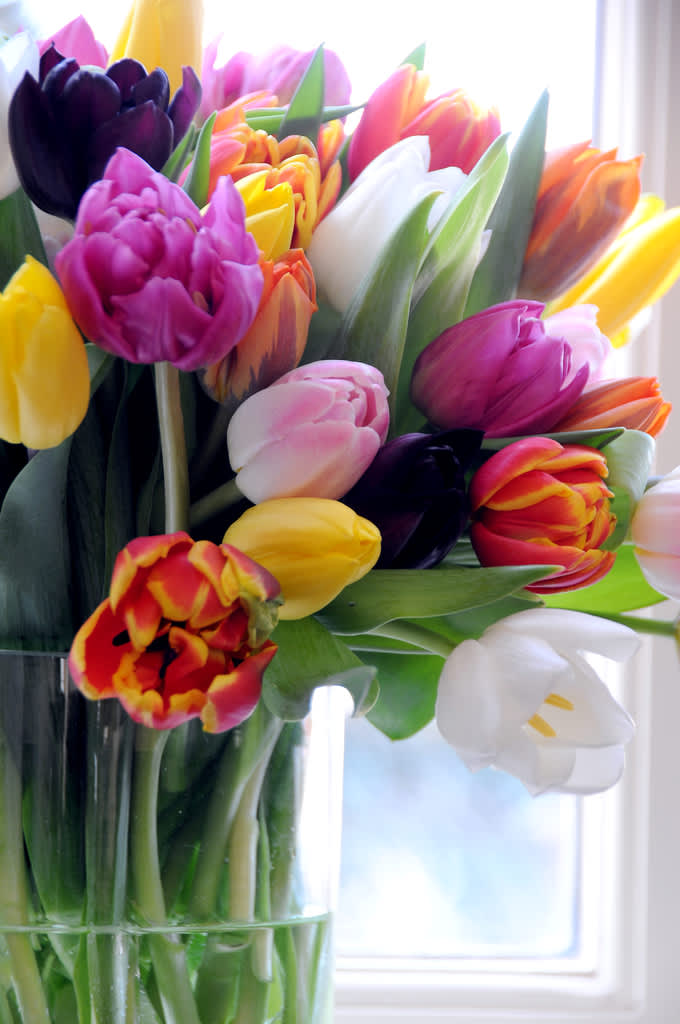 Tulpaner i olika färger i en tung glasvas ger ett härligt intryck! Foto: Blomsterfrämjandet