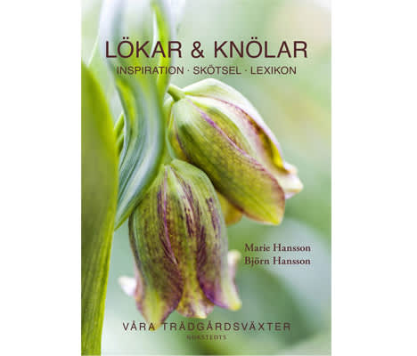 Lökar & knölar - Inspiration, skötsel, lexikon. Foto: Norstedts förlag.