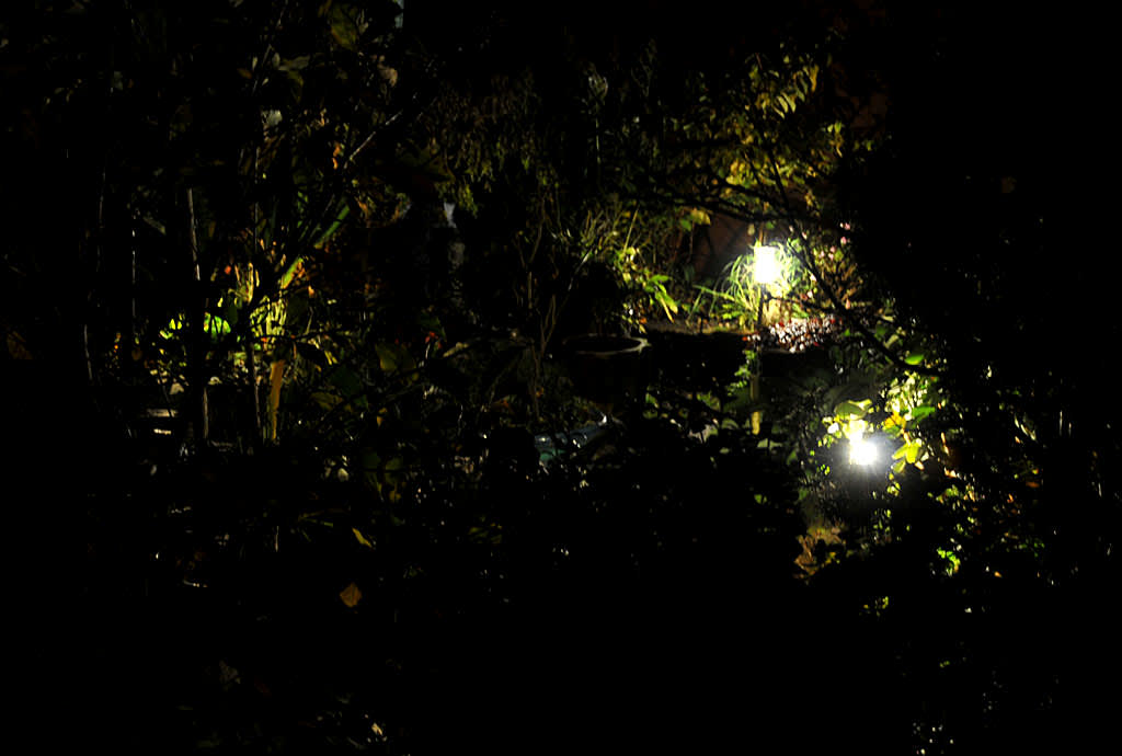 Hemlighetsfulla ljusglimtar i buskarna
Foto och arr: Sylvia Svensson