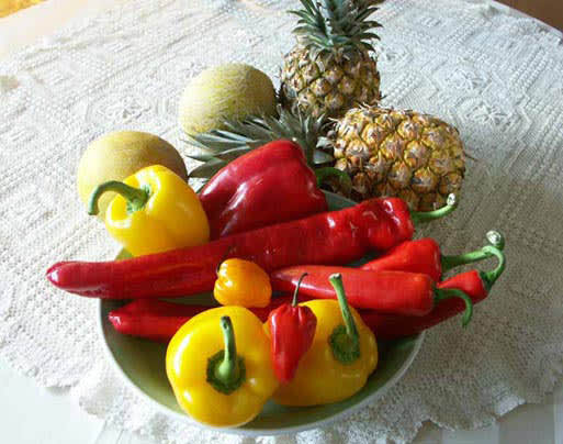 Chili och paprika är mycket dekorativa och roliga att odla.Foto: Sylvia Svensson