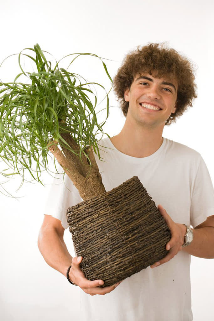 Perfekta växter till upptagna tonåringar.