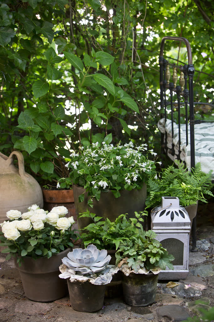 Gråa toner är nytt och trendigt, blandat med vita toner blir det fräscht och annorlunda. Foto: Floradania