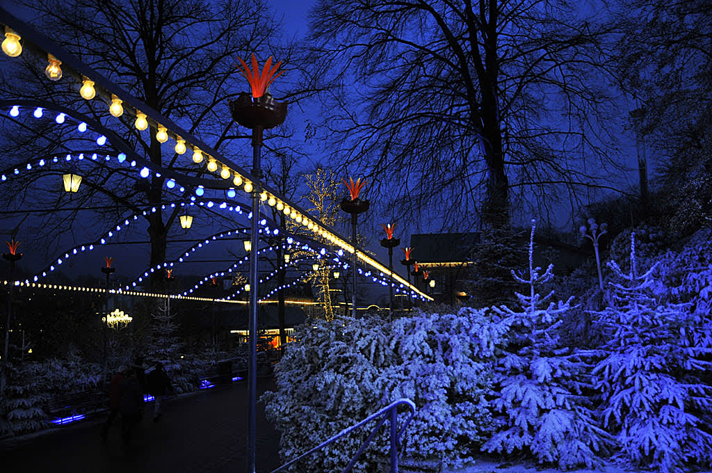 Snöklädda träd prydde Liseberg på invigningen. Foto: Bernt Svensson