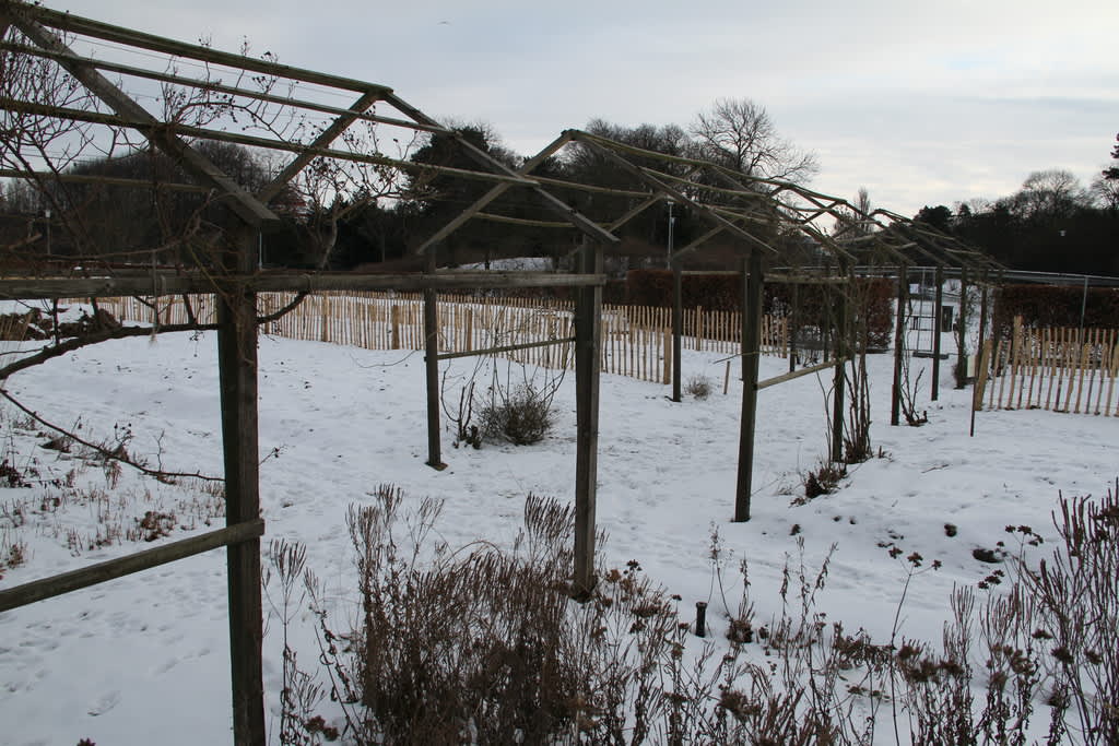 Slottsträdgården ligger i vintervila. Till våren möts vi av ett praktfullt hav av färg och form mitt i staden. 