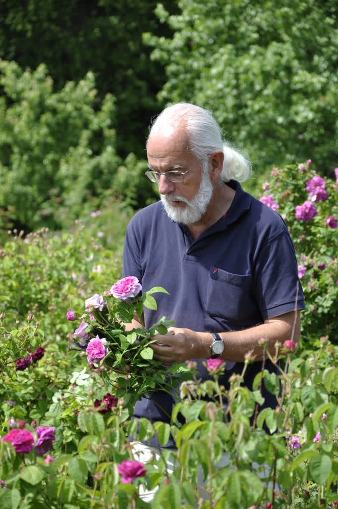 Lars-Åke Gustavsson i POM-odlingen på Fredriksdal. Foto: Wiveka Krantz.