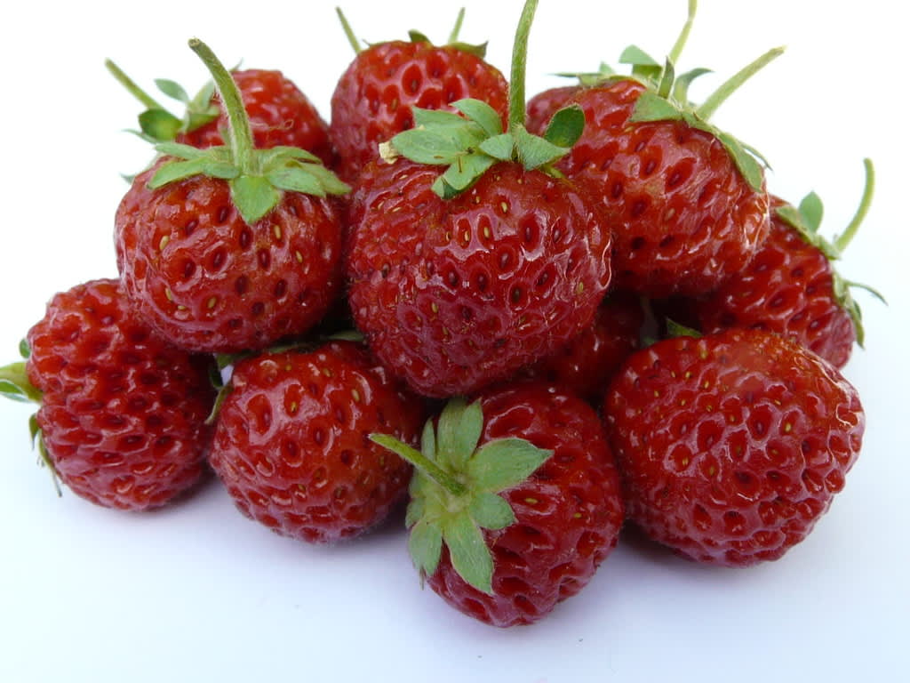 Framberry - en korsning mellan hallon och jordgubbar är årets nyhet och en riktig storsäljare i [Odla.nuShop](http://erbjudande.odla.nu/sm/).
