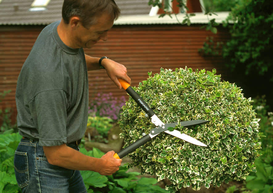 Häcksaxen är perfekt när du ska forma buskar, häckar och träd. Foto: Fiskars.