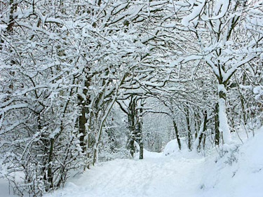 Snöig stig.
