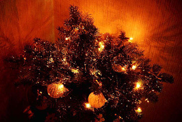 Julgran med belysning.