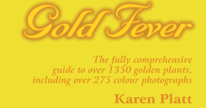 Gold Fever
