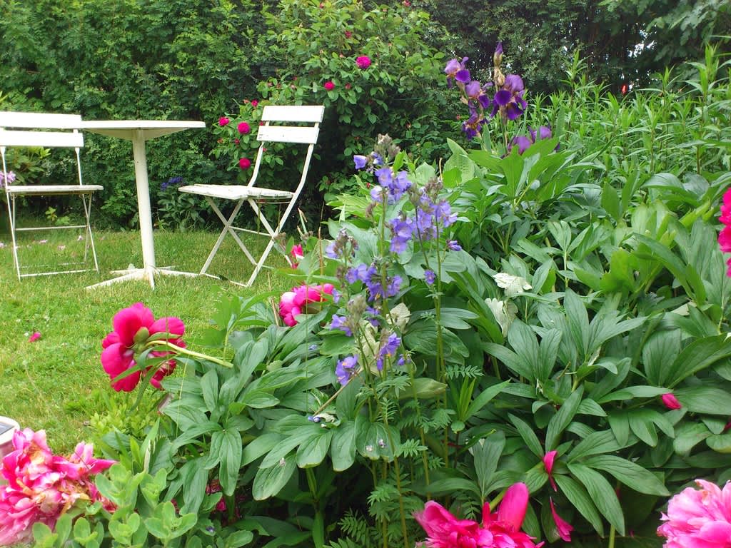 Prunkande blommor och en skön plats att fika på - sommar i all sin prakt!