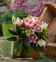 Julros Snittblomma Bukett Enkelblommig