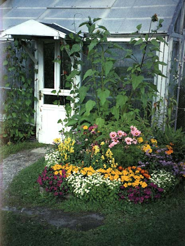 Snart syns inte gräsklippet under sommarblommorna.