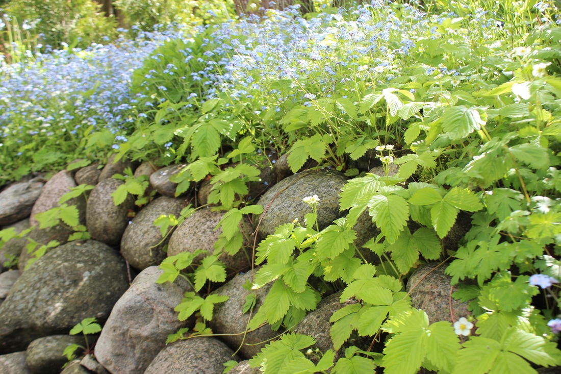 img-0526_orig