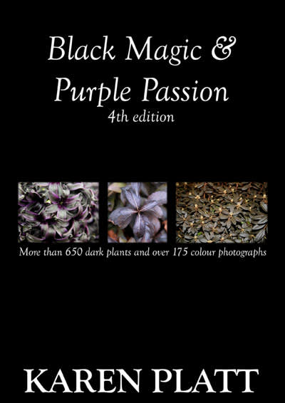 Black Magic & Purple Passion