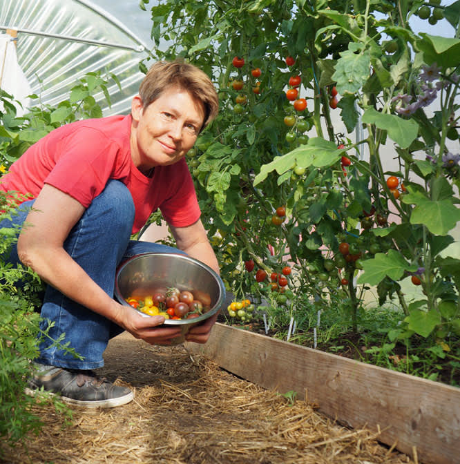 Monika i sitt tunnelväxthus, där tomaterna frodas. Foto: Lena Andersson