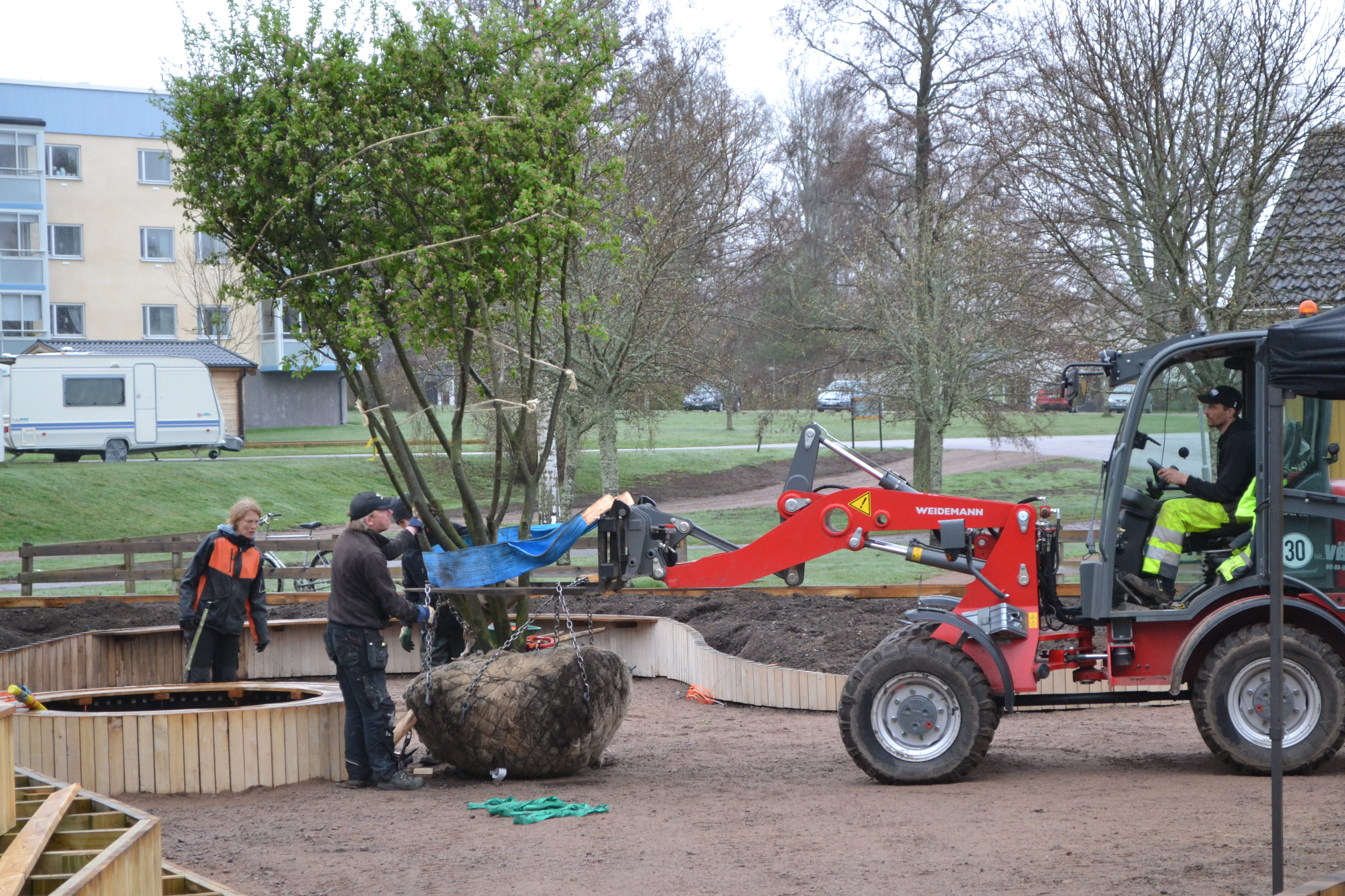 Plantering på apelgården