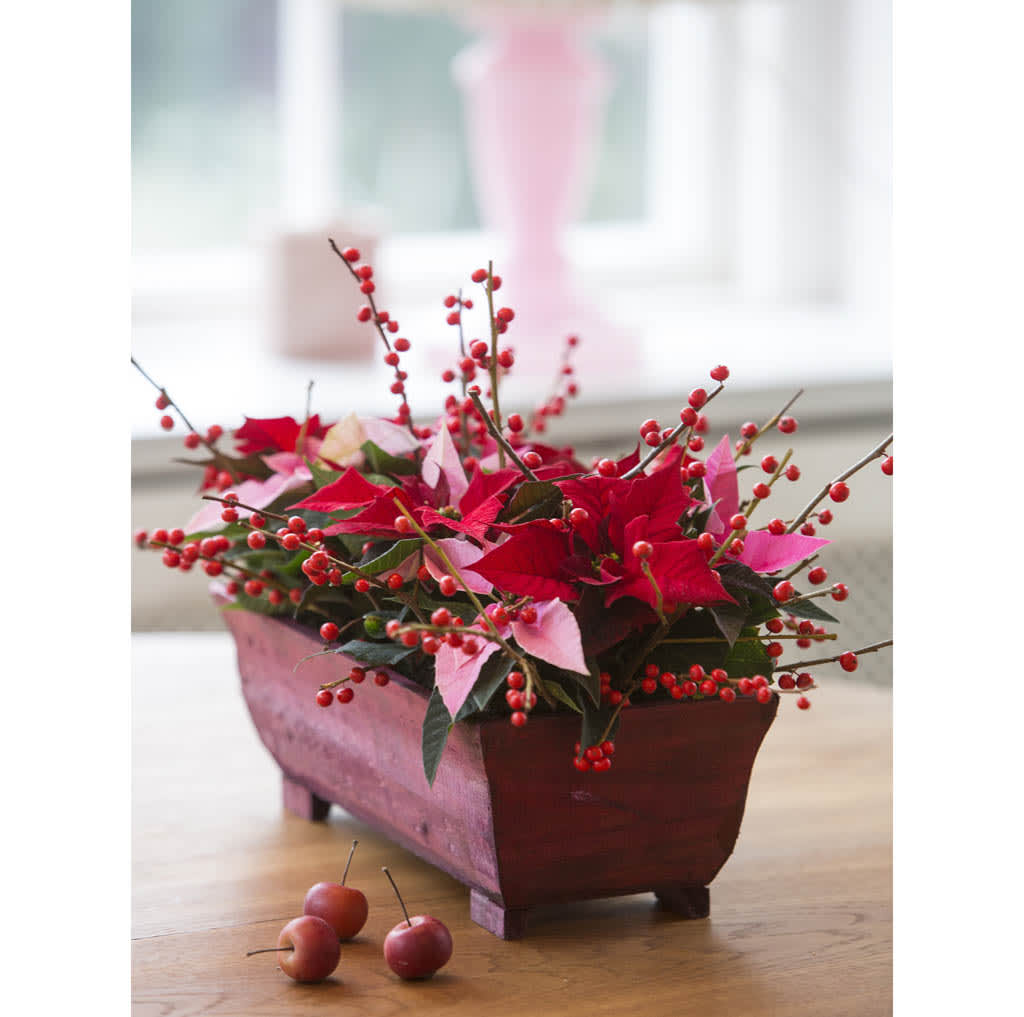 Bordsdekoration i avlångt träfat med miniväxter i fräscha julfärger samt bärkvistar.