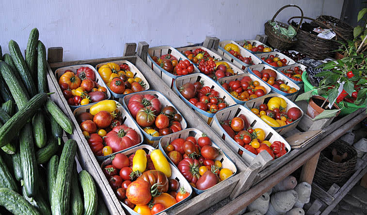 Olika tomater till salu i Fuglebjerggården i Danmark. 