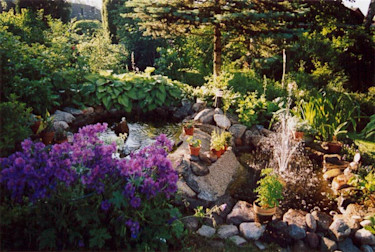 Den rörigaste trädgården.