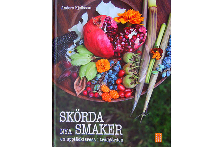 Skörda nya smaker
Foto: Sylvia Svensson