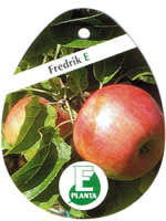 Äpple 'Fredrik' E.