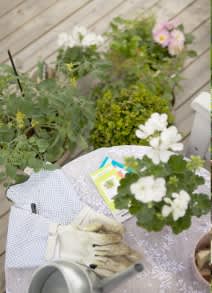 Nyttoväxter och dekorativa växter samsas i blomstrande enkelhet! Foto: Blomsterfrämjandet/Gustaf Emanuelsson