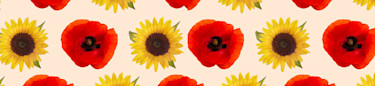 Blomsterfröer