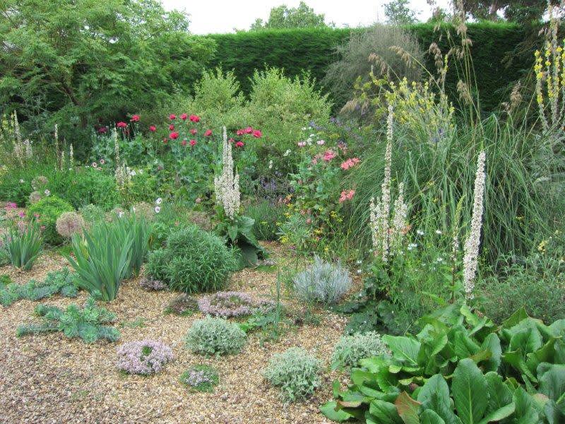 Välj växter som trivs med de förutsättningar din trädgård erbjuder. Arbeta med, inte emot naturen!