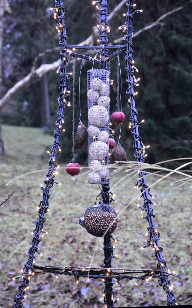 Fåglarnas julbord - ljusslinga lindad runt en ställning med fågelmatFoto: Sylvia Svensson