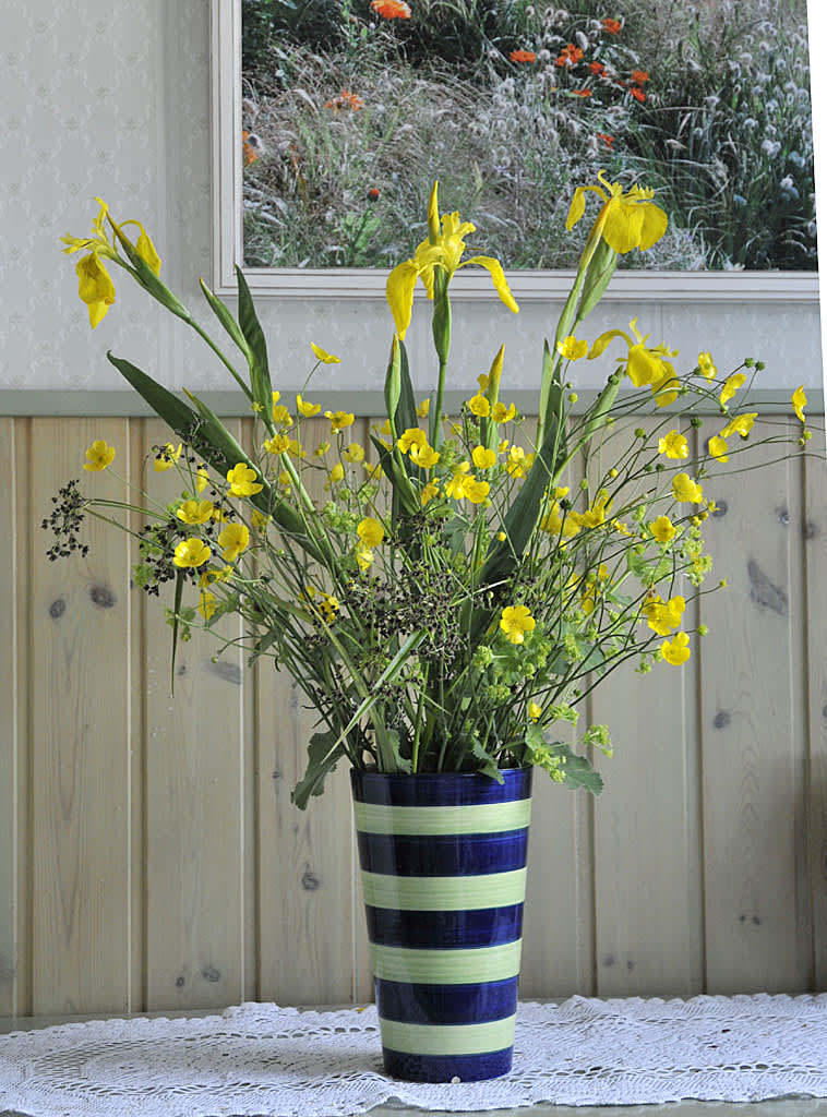 Svärdslilja _Iris pseudacorus_ och smörblommor hinner också  blomma ibland.

