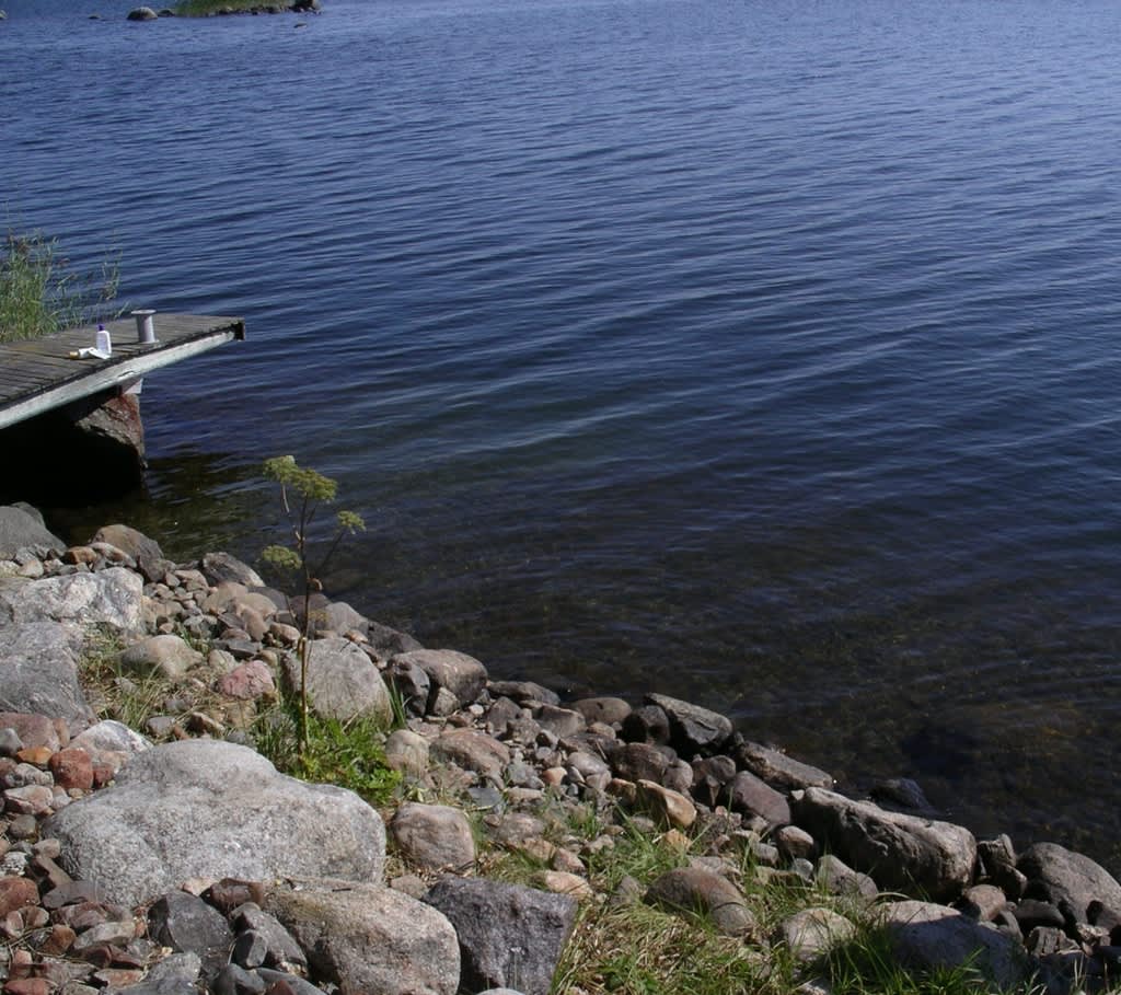 Bräckt vatten i Bottenviken kan i nödfall användas att vattna med.