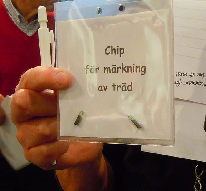 E-planta: Chip för märkning av träd.
Foto: Sylvia Svensson