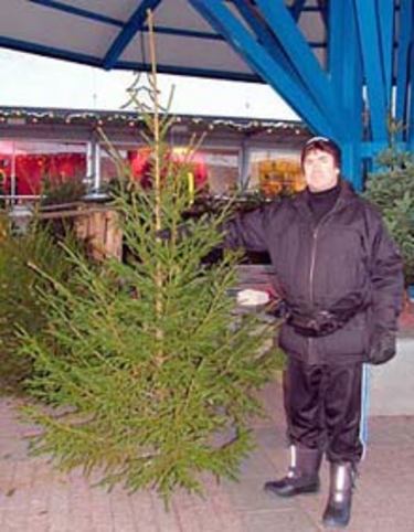 Julgranssäljarna börjar visa sig.