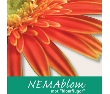 NEMAblom.
