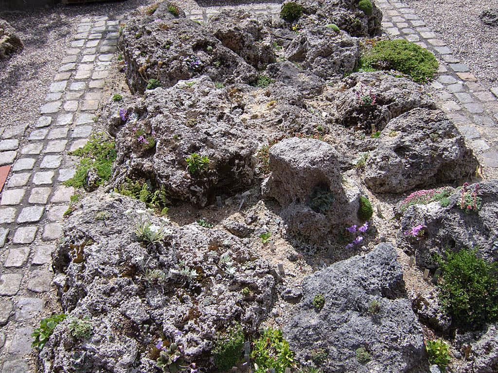 Stenparti av lavastenar.
Foto: Sylvia Svensson