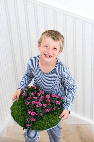 Morgonbricka med miniplantor.