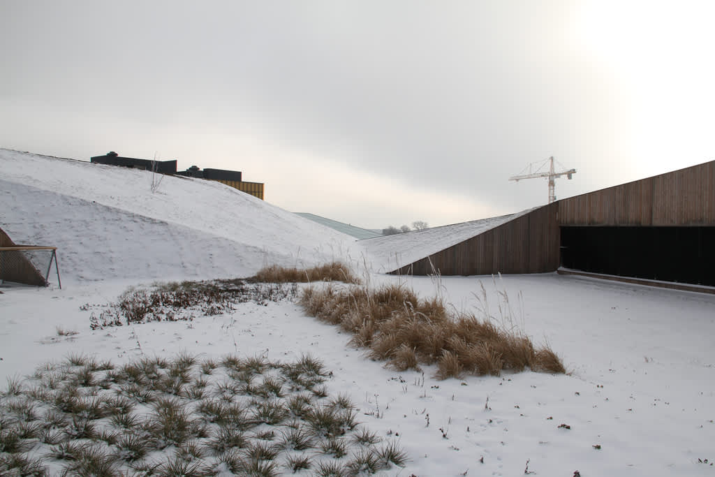 Den enorma takparken ligger än så länge begravd i snö och kyla. Men snart grönskar det här och den mest märkvärdiga vegetation breder ut sig mitt i staden. 