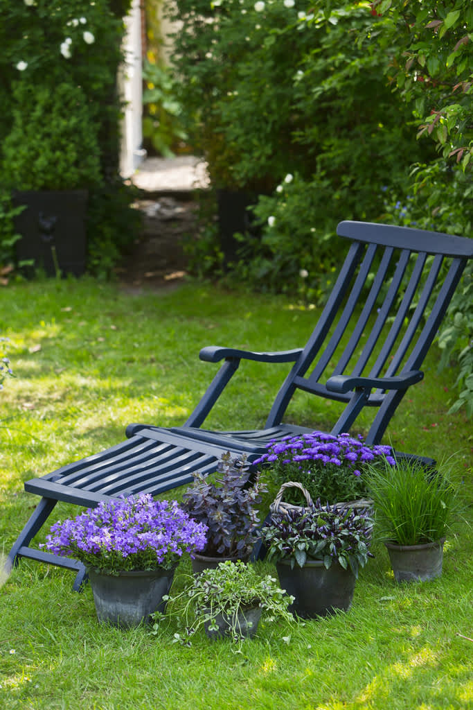 Vackra toner av blått i favorithörnan. Foto: Floradania