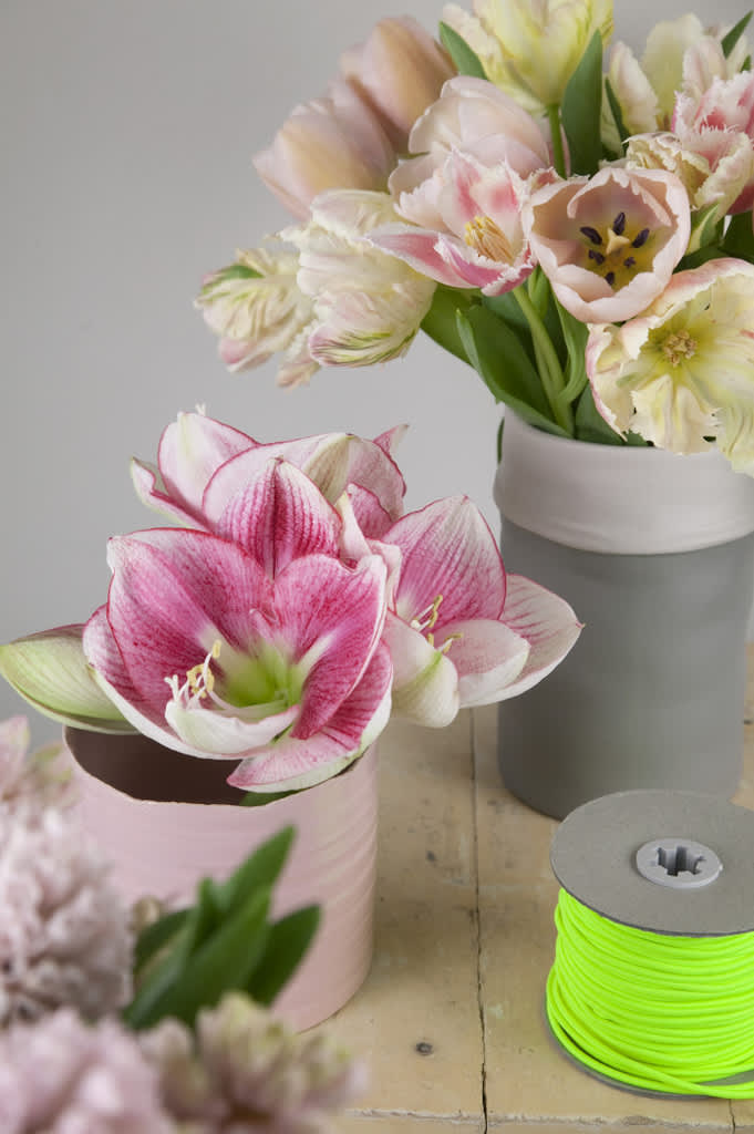 Arrangemang med rosa tulpaner och amaryllis
Foto: Blomsterfrämjandet