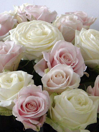 Rosbukett.