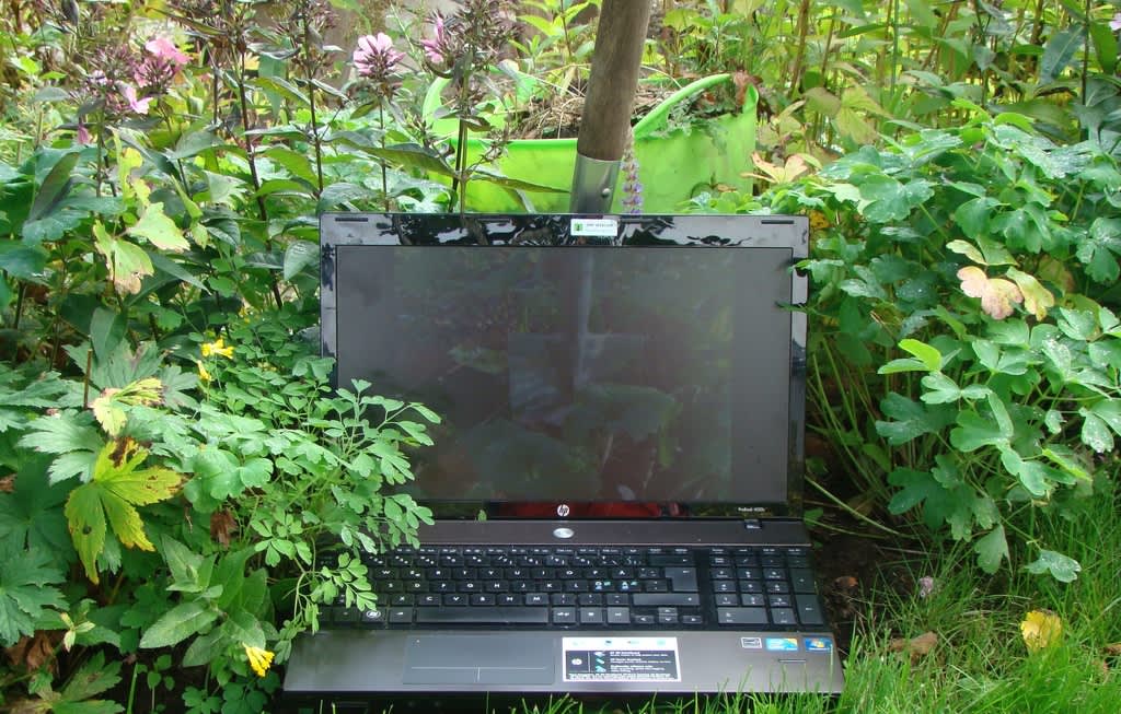 Trädgården blomstrar på nätet!