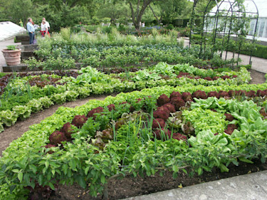 Potager i Sofiero
Foto: Sylvia Svensson