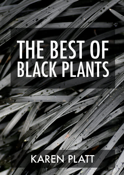The Best of Black Plants